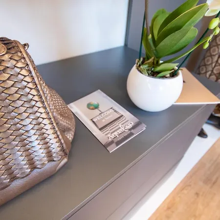Aqualago Apartment Verbania